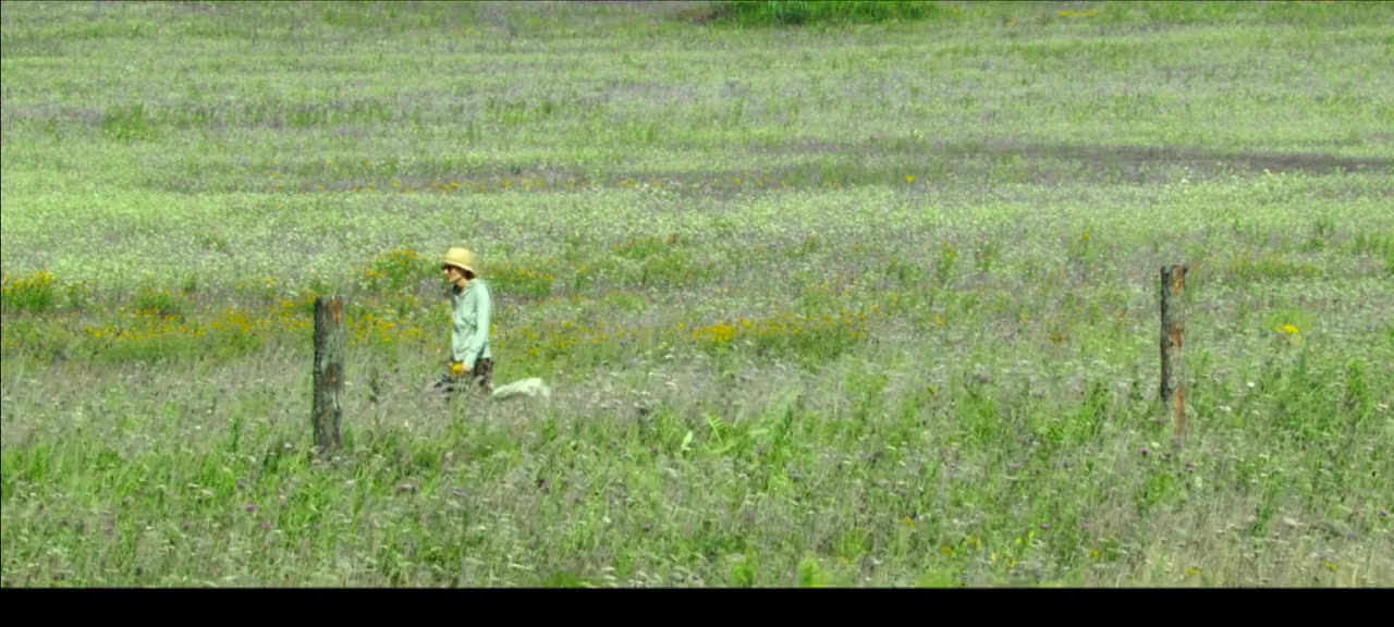 Lowcy miodu screenshot 1