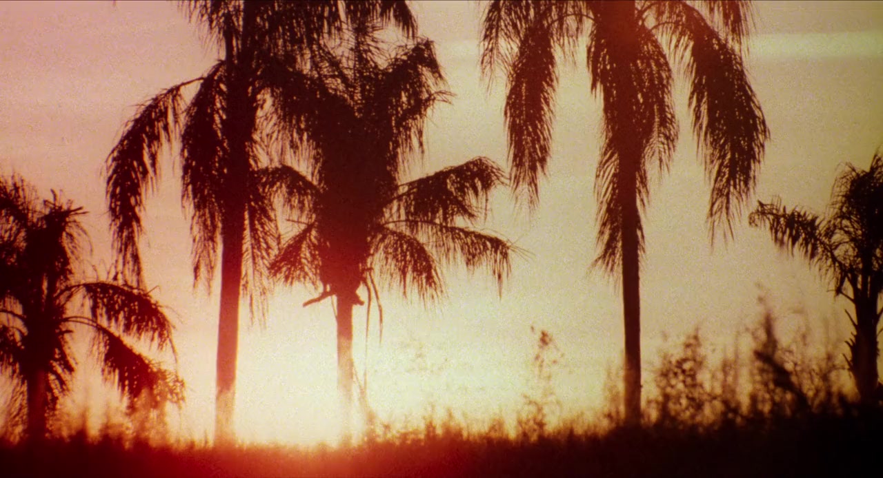 Honky Tonk Freeway screenshot 2