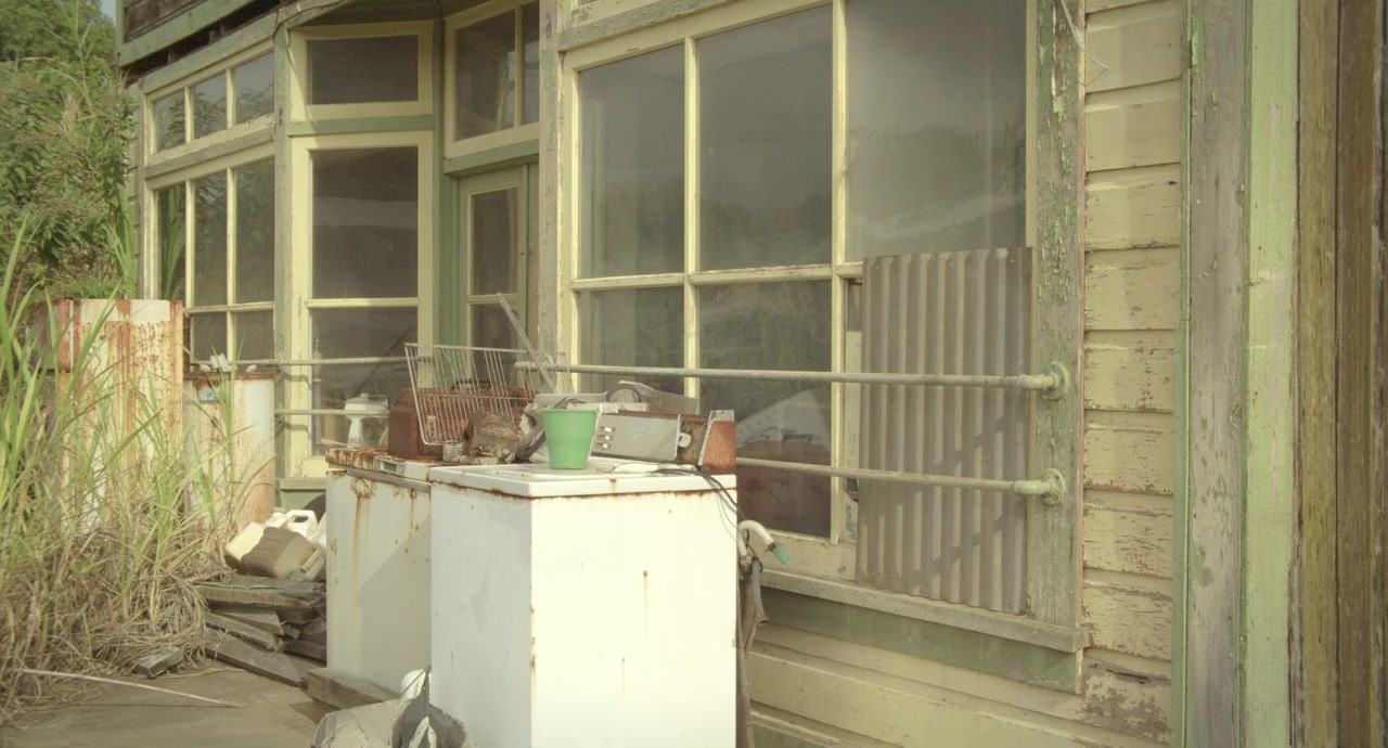 Honokaa Boy screenshot 3