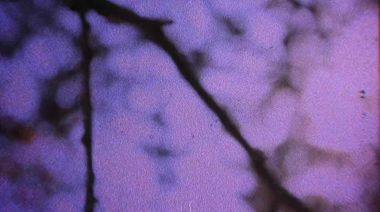 Honor Killing screenshot 3