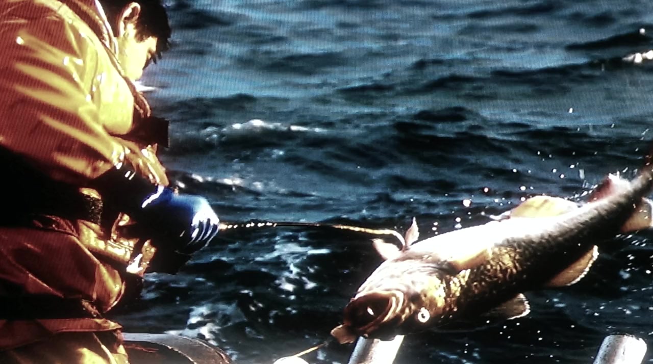 Hooked screenshot 2