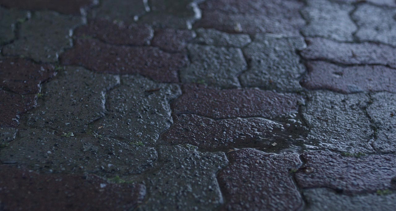 So-won screenshot 1