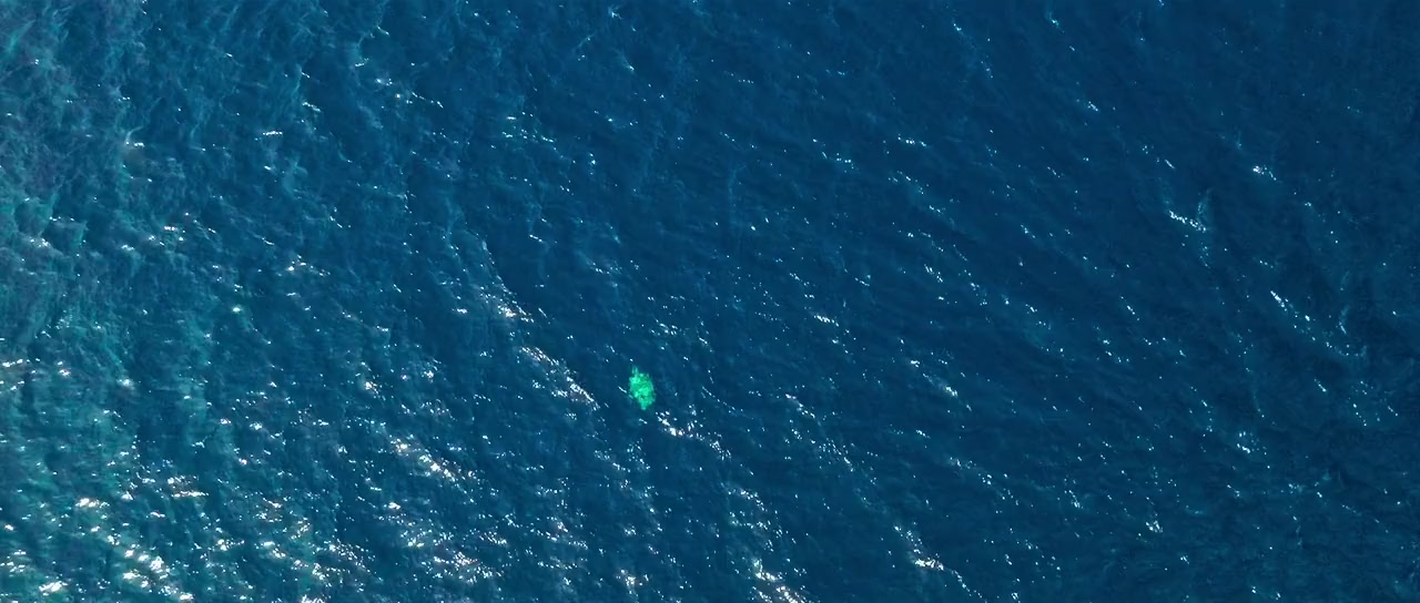 Horizon screenshot 3