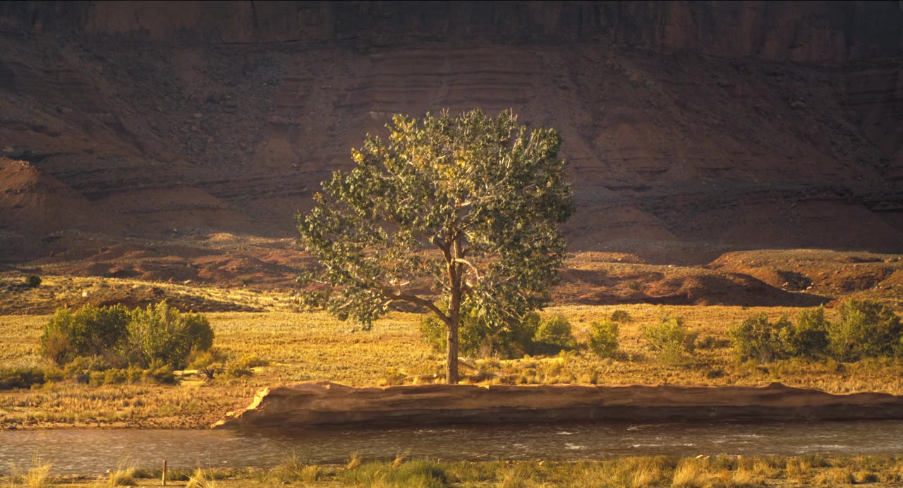 Horizon: An American Saga - Chapter 1 screenshot 1