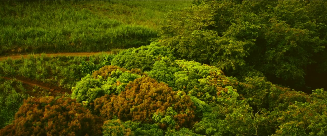 Horizon Line screenshot 2
