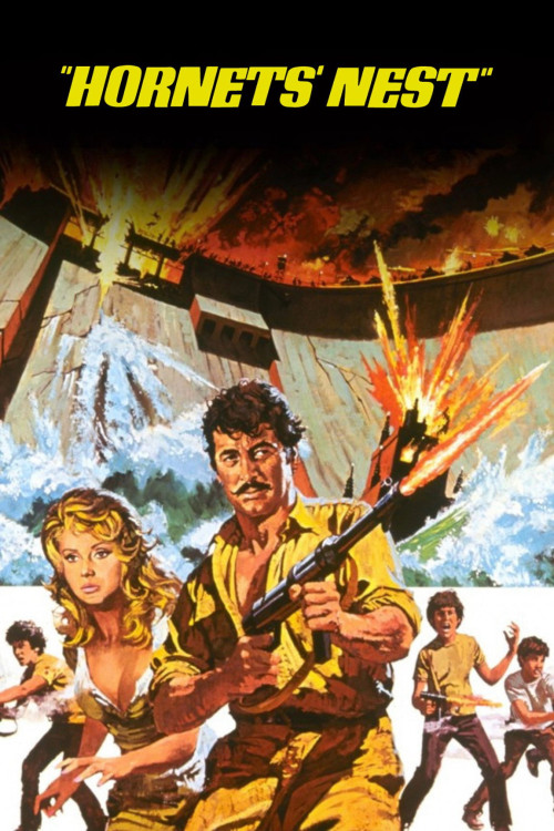 Hornets' Nest (1970) poster