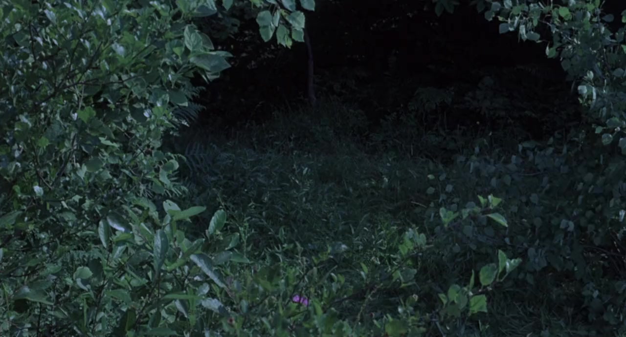 Hornets' Nest screenshot 3