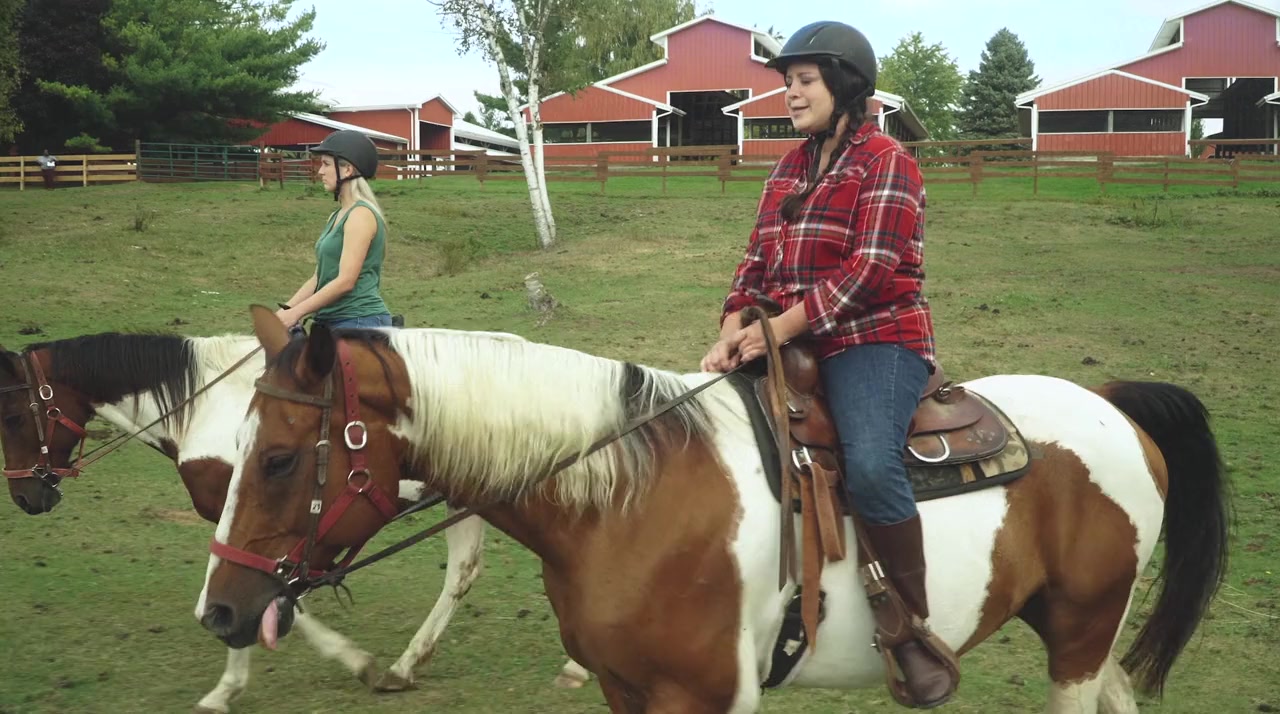Horse Camp: A Love Tail screenshot 1