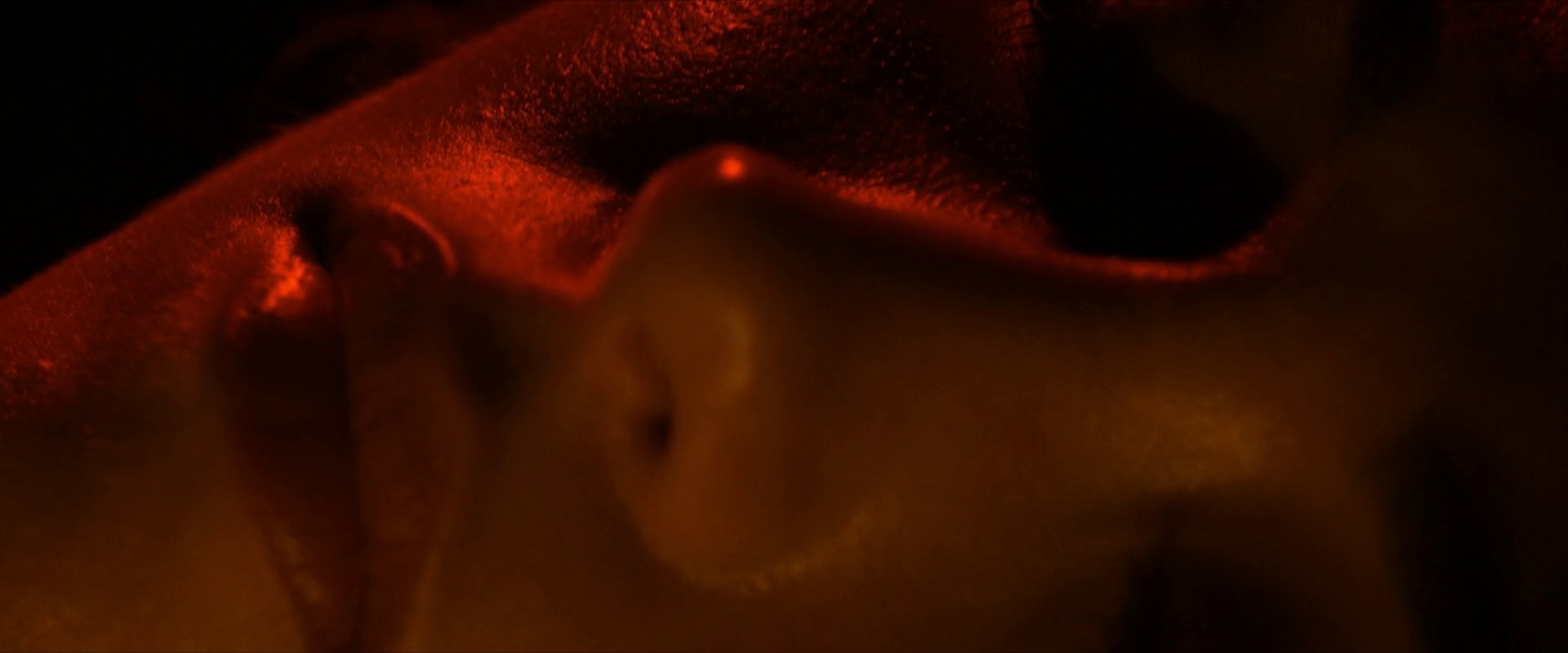 Horsehead screenshot 3