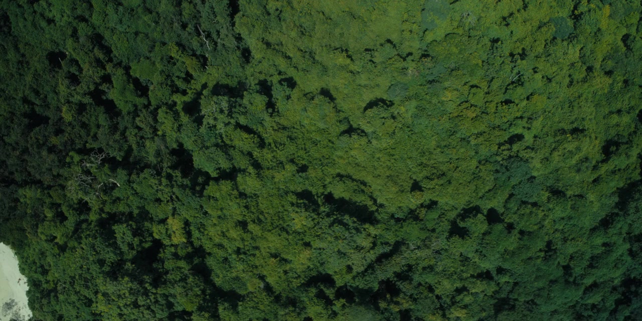 Host screenshot 1