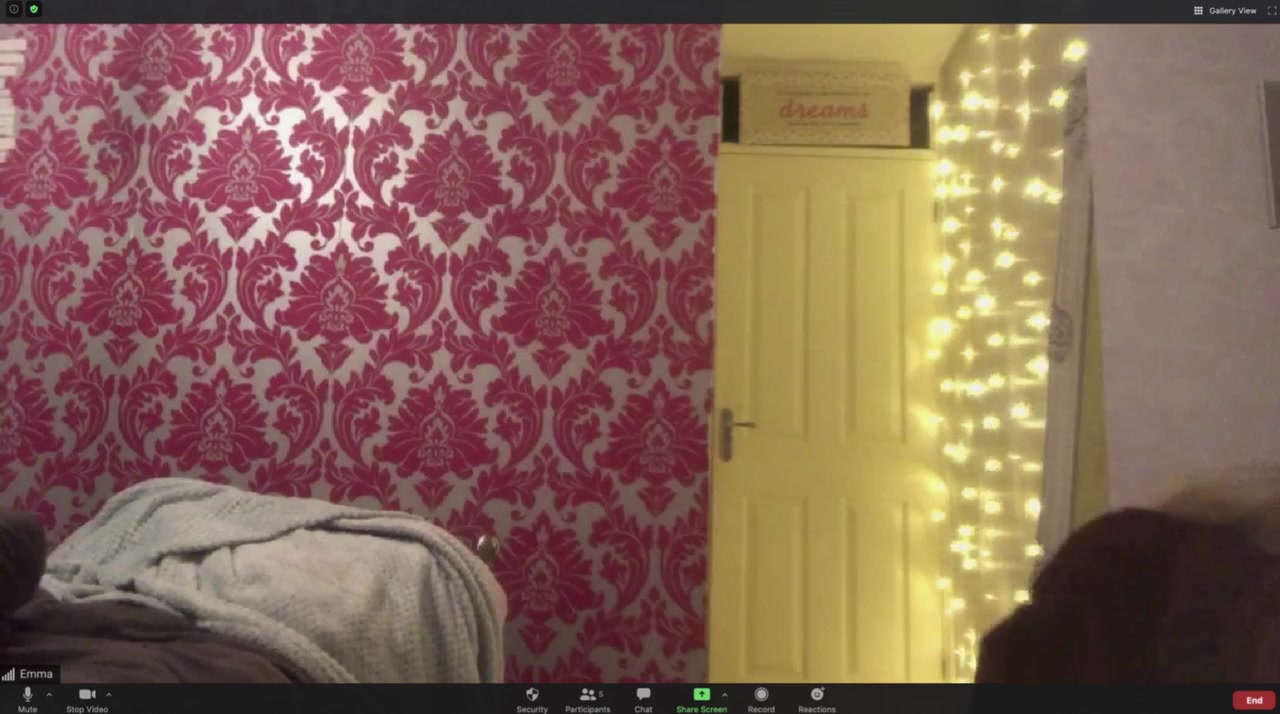 Host screenshot 1