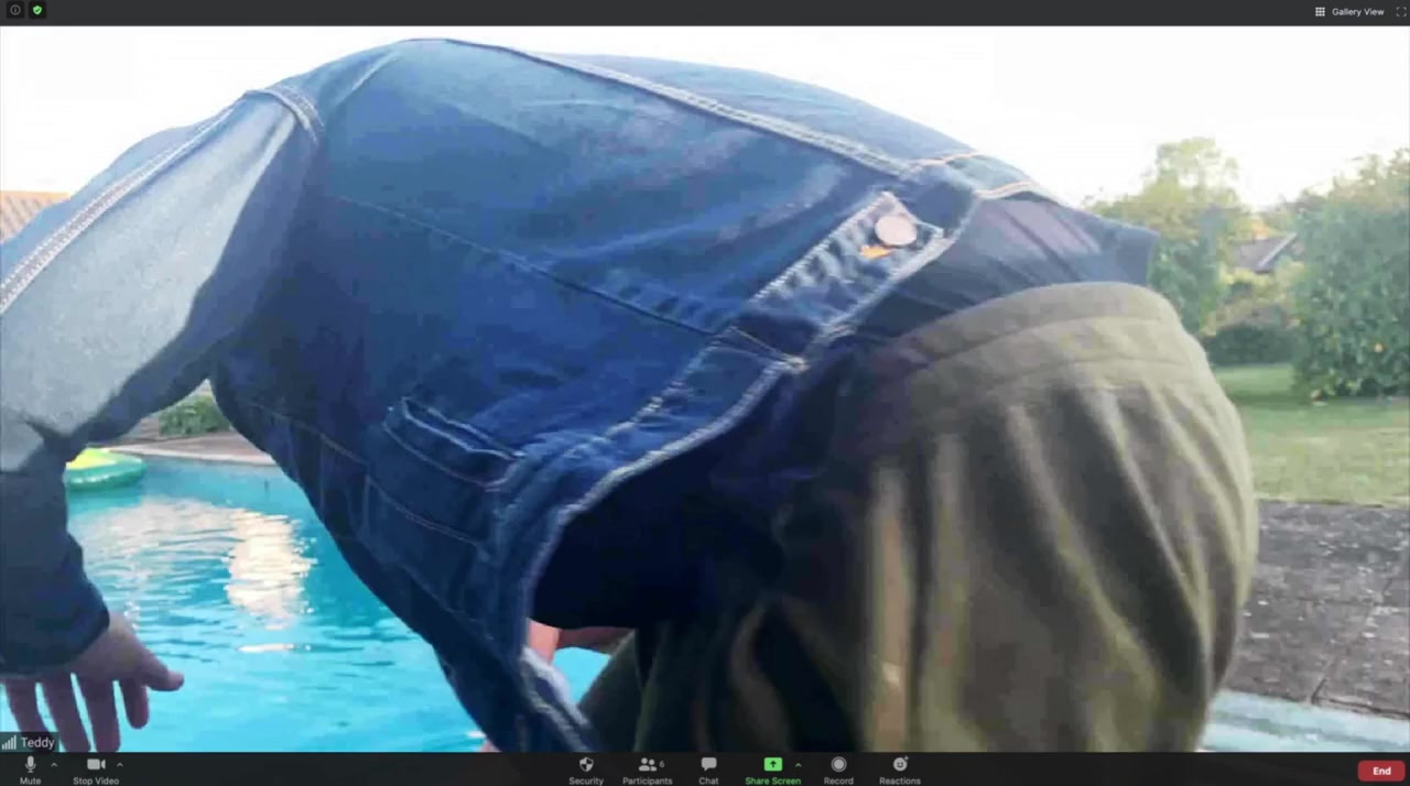 Host screenshot 3