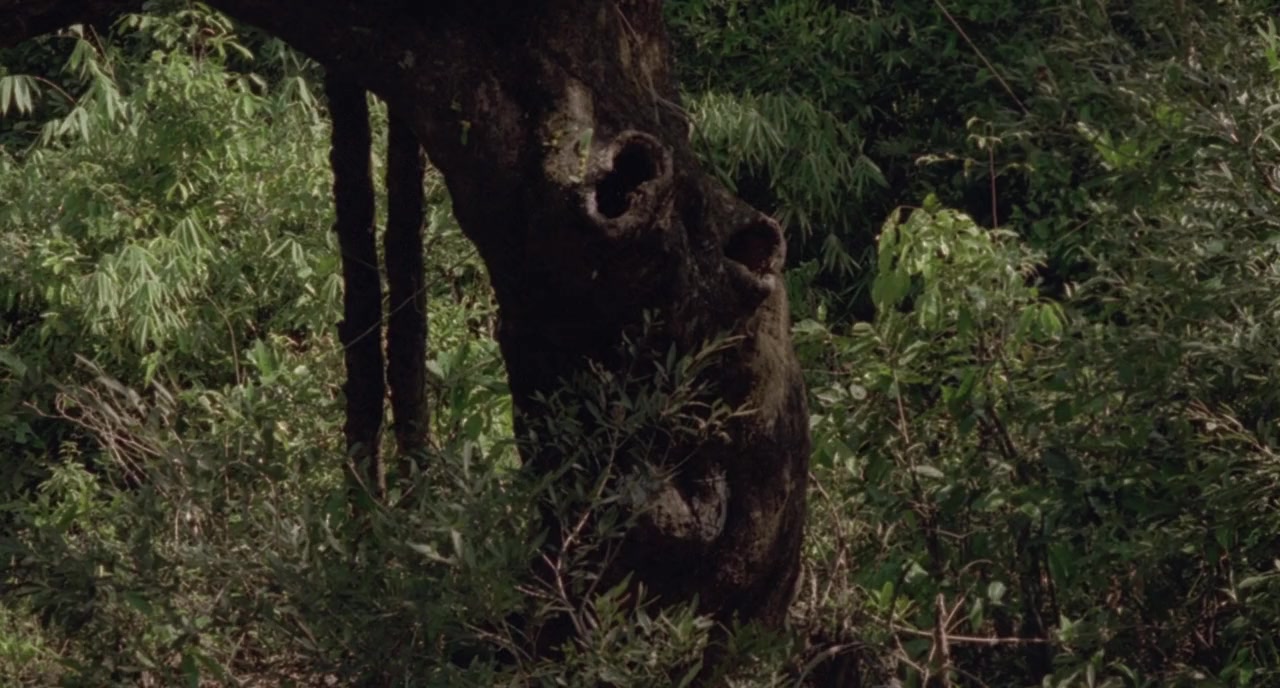Hathi screenshot 2