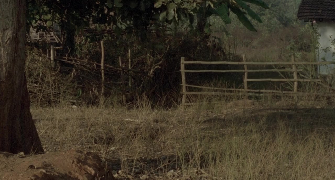 Hathi screenshot 3