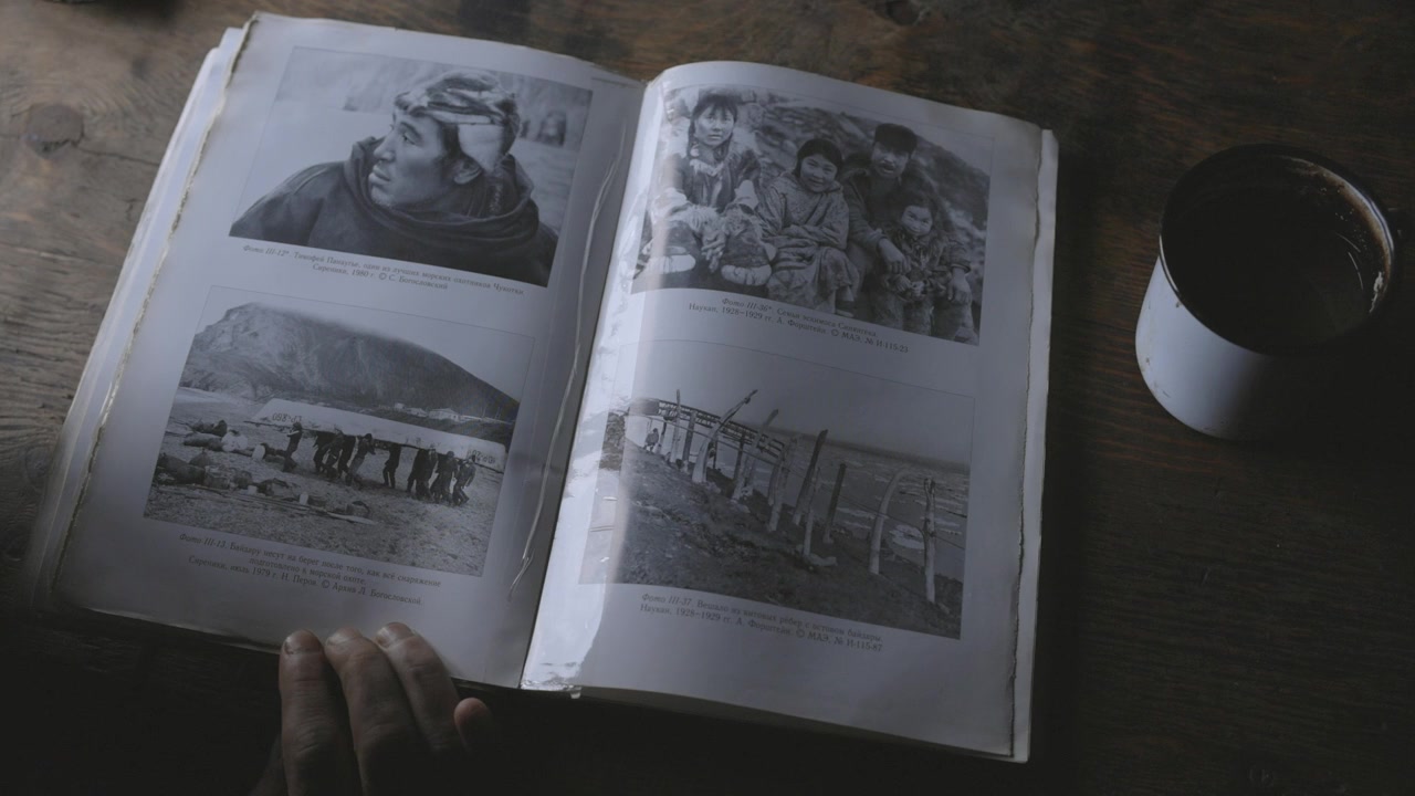 Vikhod screenshot 2