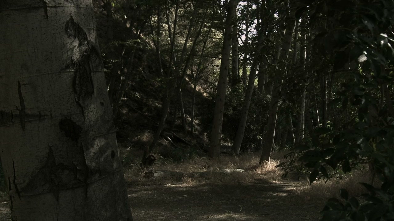 Haunting of Winchester House screenshot 1