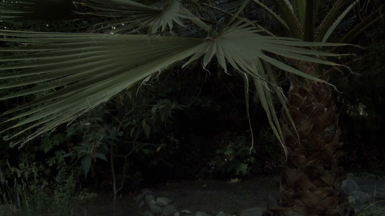Haunting of Winchester House screenshot 2