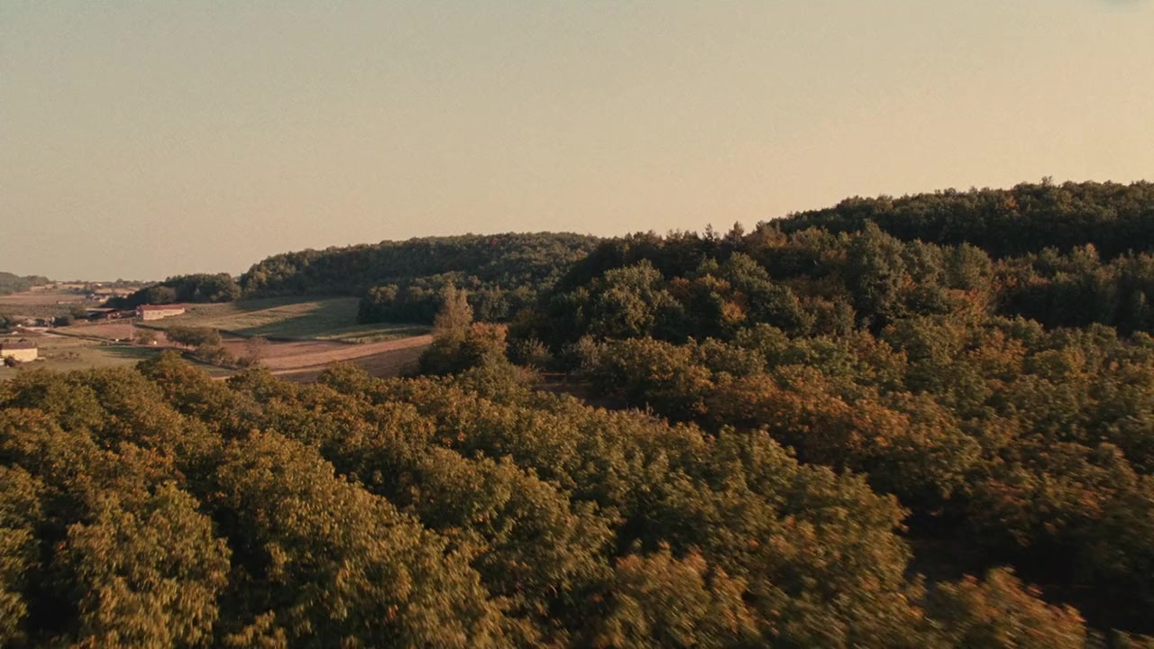 Les saveurs du Palais screenshot 2