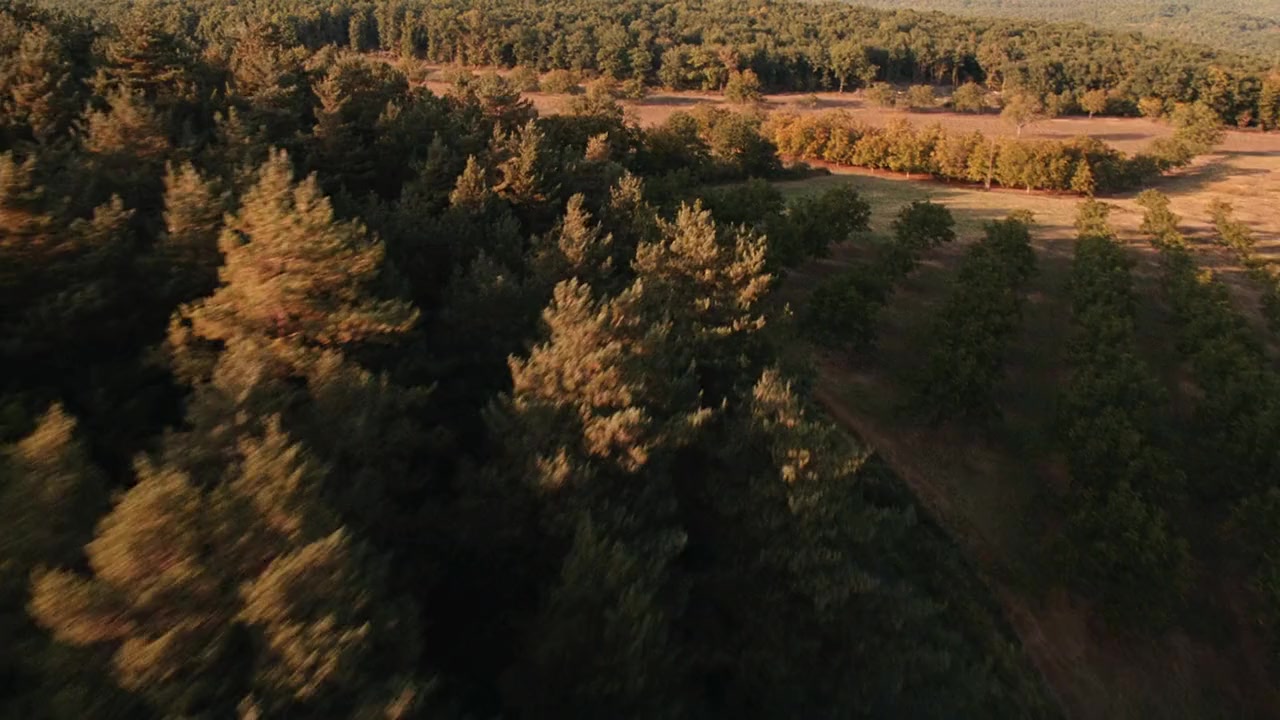 Les saveurs du Palais screenshot 3