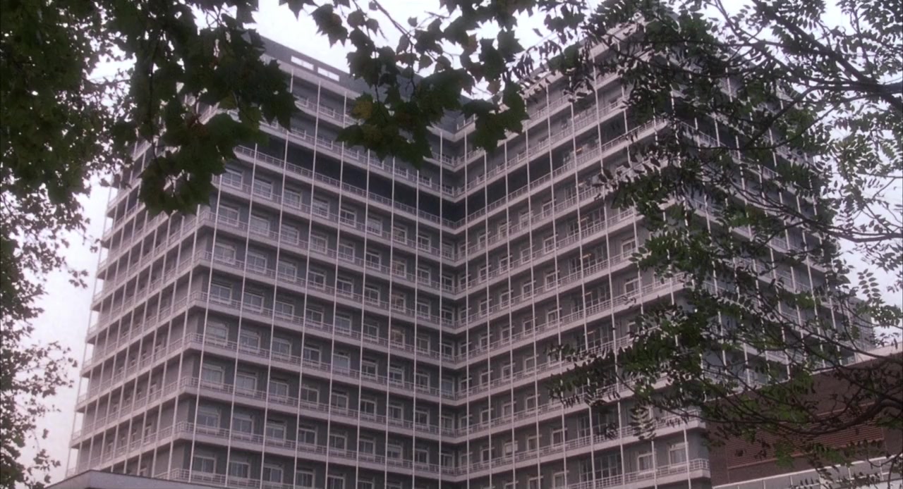 Hawks screenshot 1