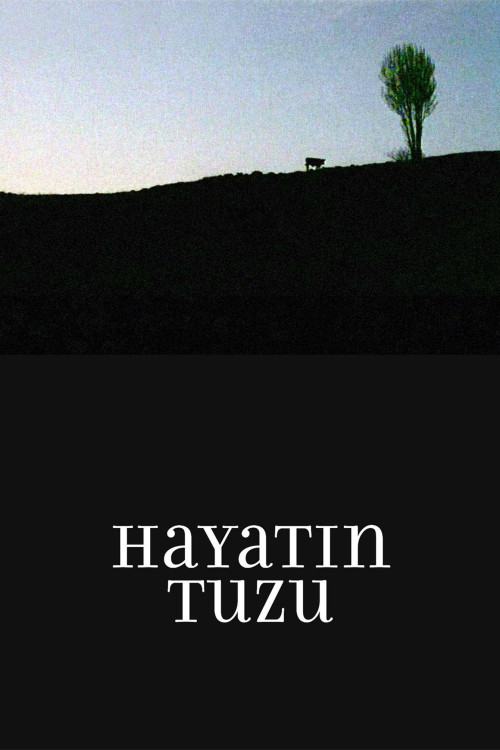 Hayatin Tuzu (2008) poster