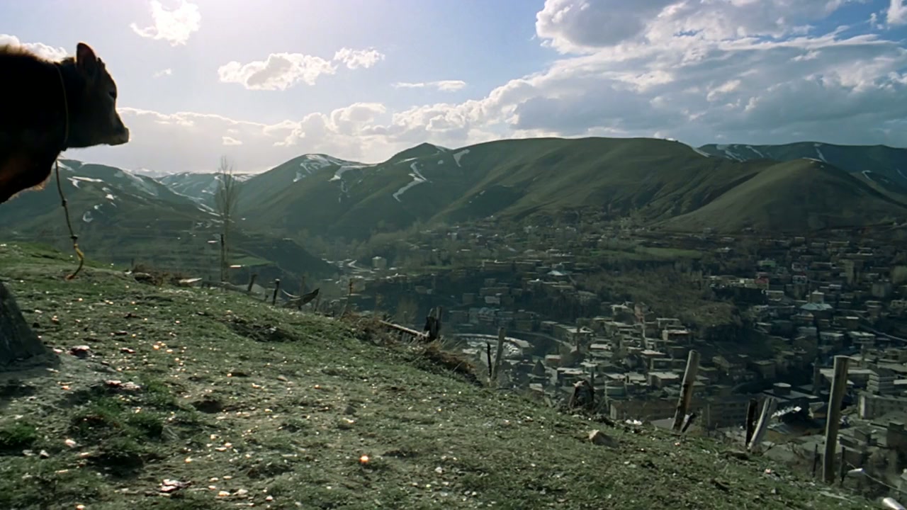 Hayatin Tuzu screenshot 1