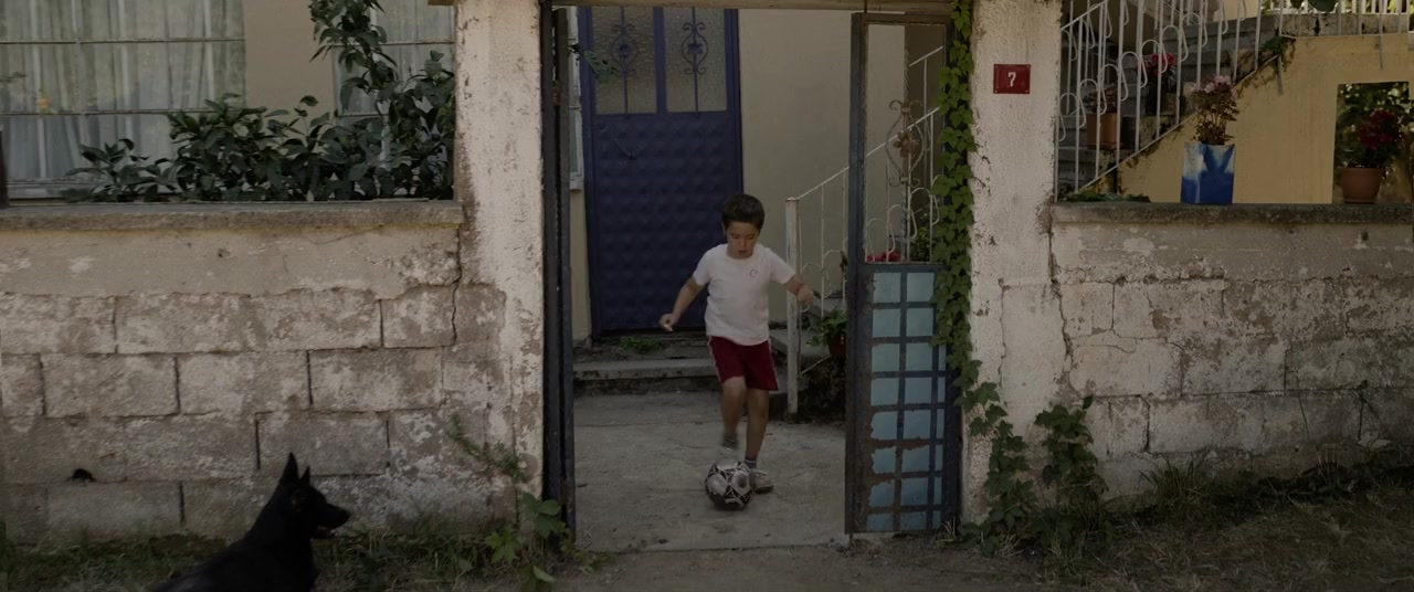 Hayatla Baris screenshot 3