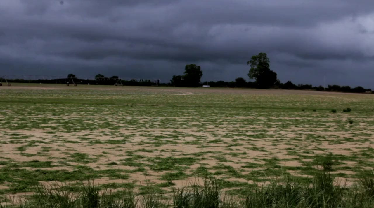 Hayride screenshot 2