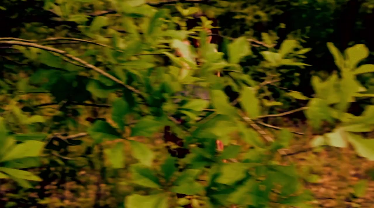 Hayride screenshot 3