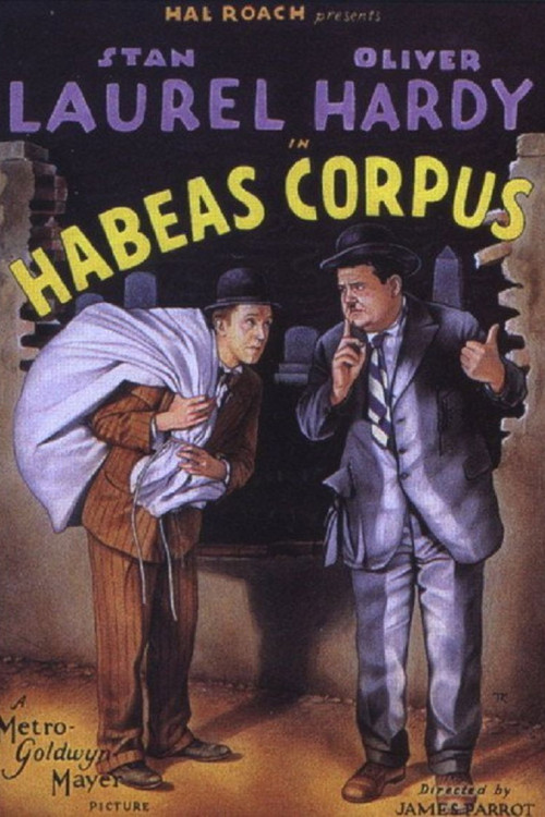 Habeas Corpus (1928) poster