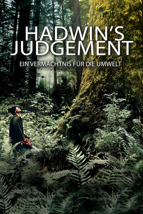Hadwin's Judgement (2015) poster