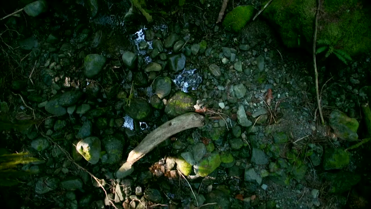 Hadwin's Judgement screenshot 2