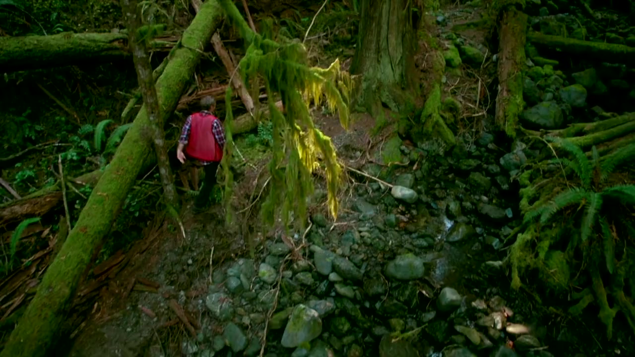 Hadwin's Judgement screenshot 3