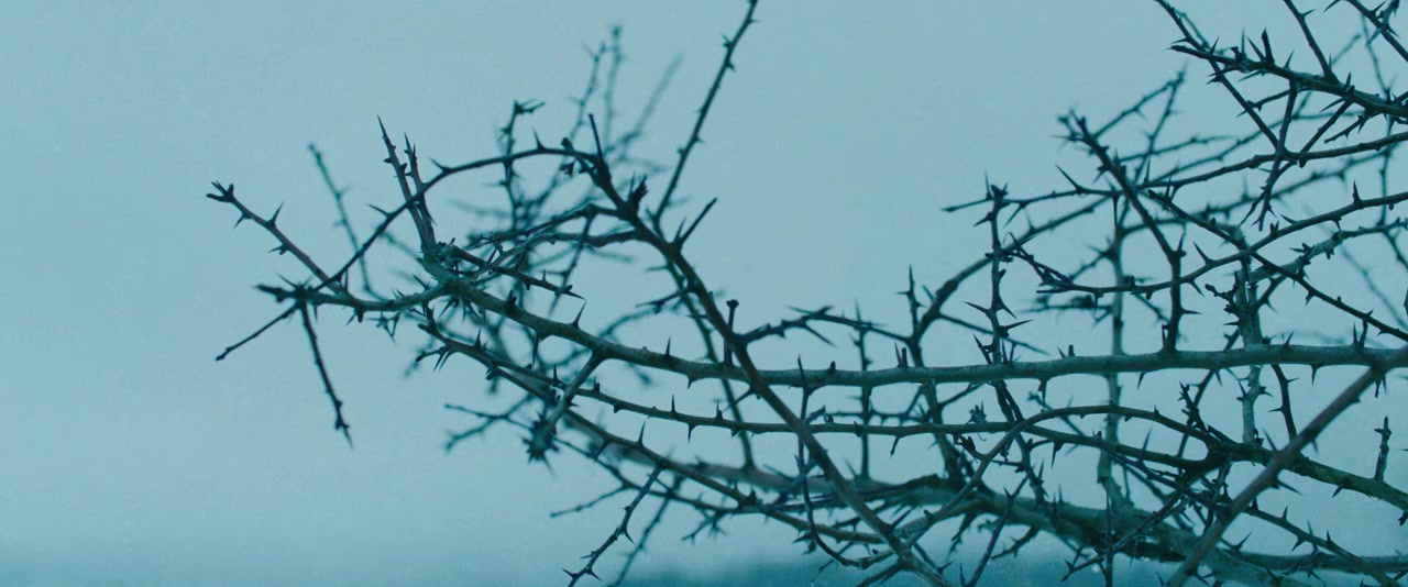 Hagen - Im Tal der Nibelungen screenshot 1