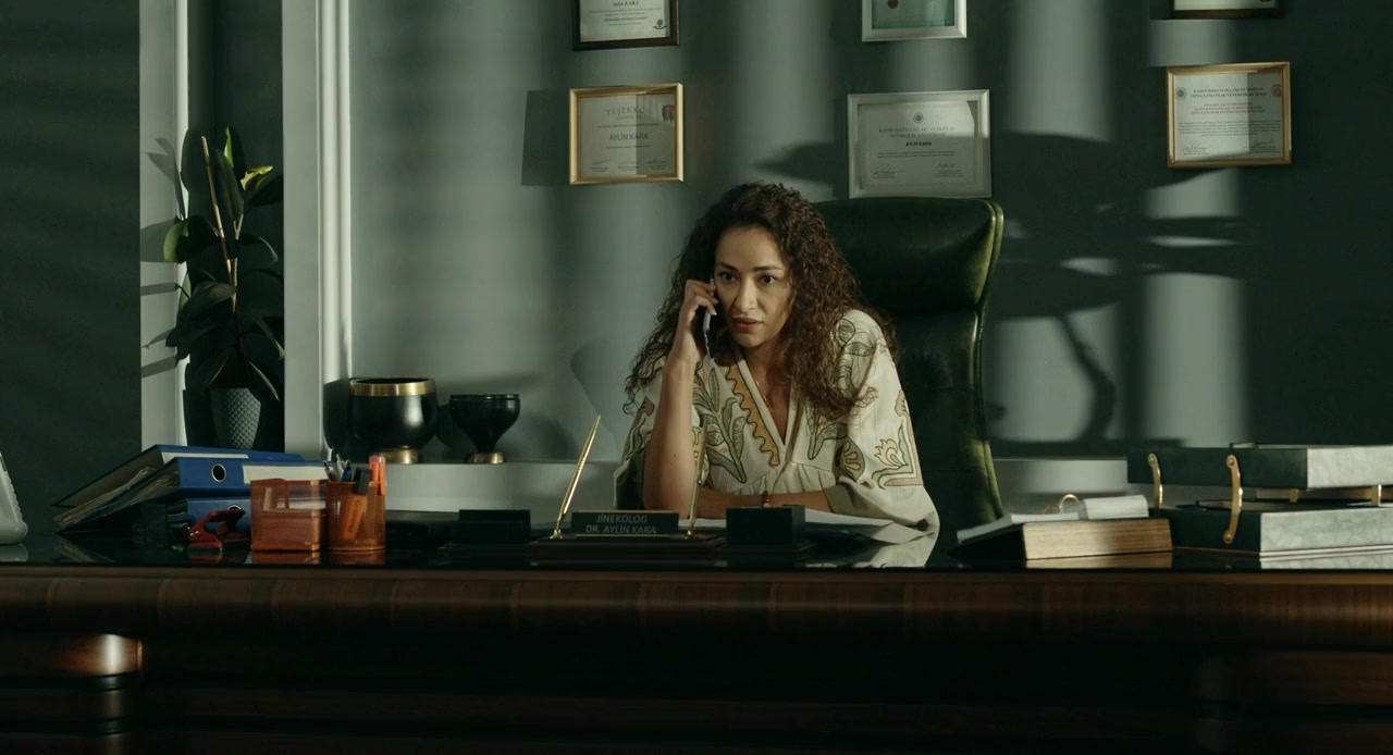Haile 2: Var mi, Yok mu? screenshot 3