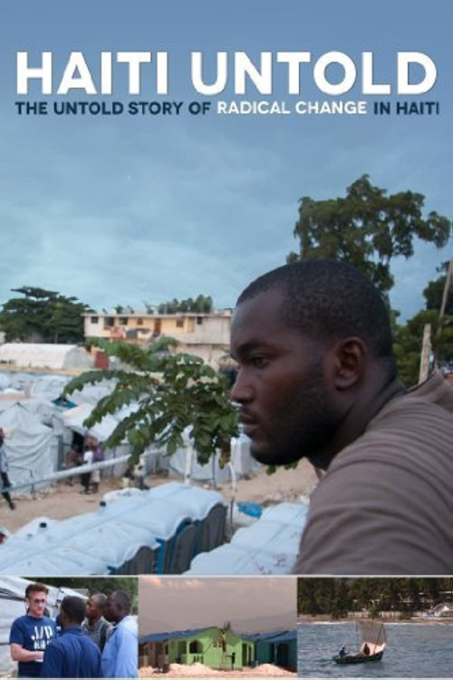 Haiti Untold (2012) poster