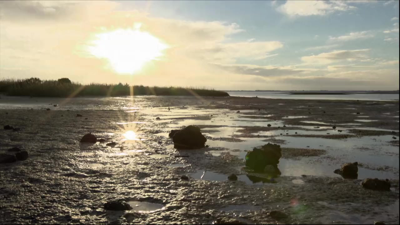 Hamilton's Journey: Manatees in a New Light screenshot 2