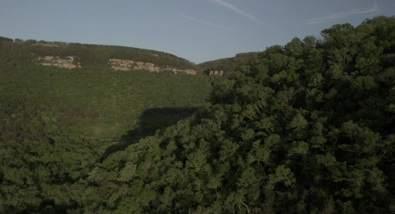Hamlet & Hutch screenshot 3