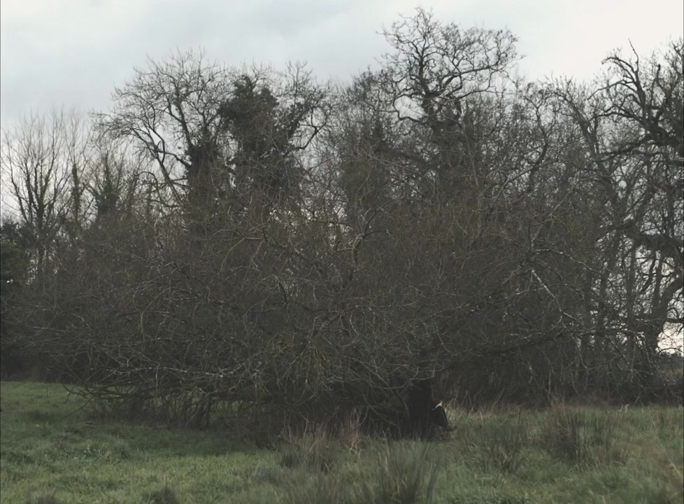 Hamlet in the Golden Vale screenshot 1