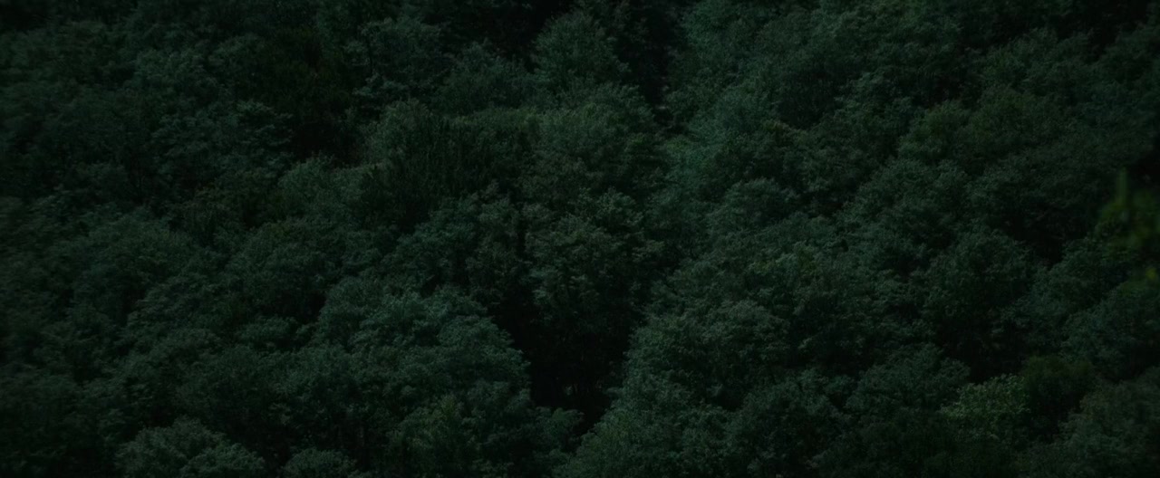 Hammer screenshot 2