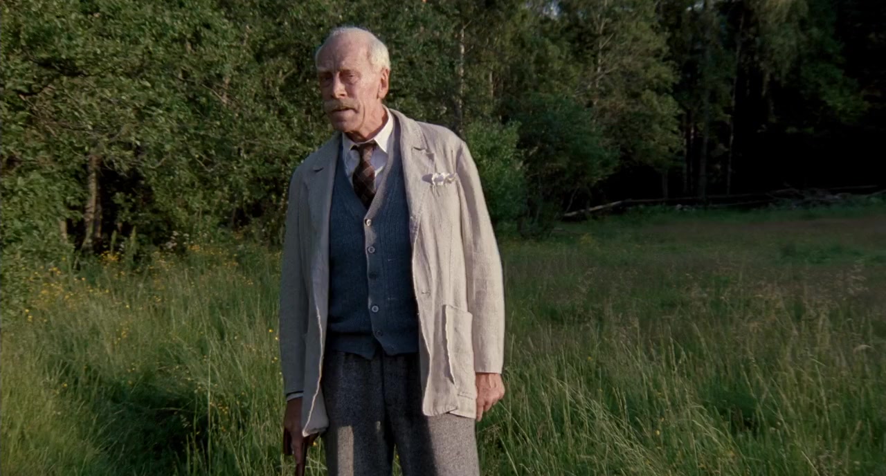 Hamsun screenshot 1