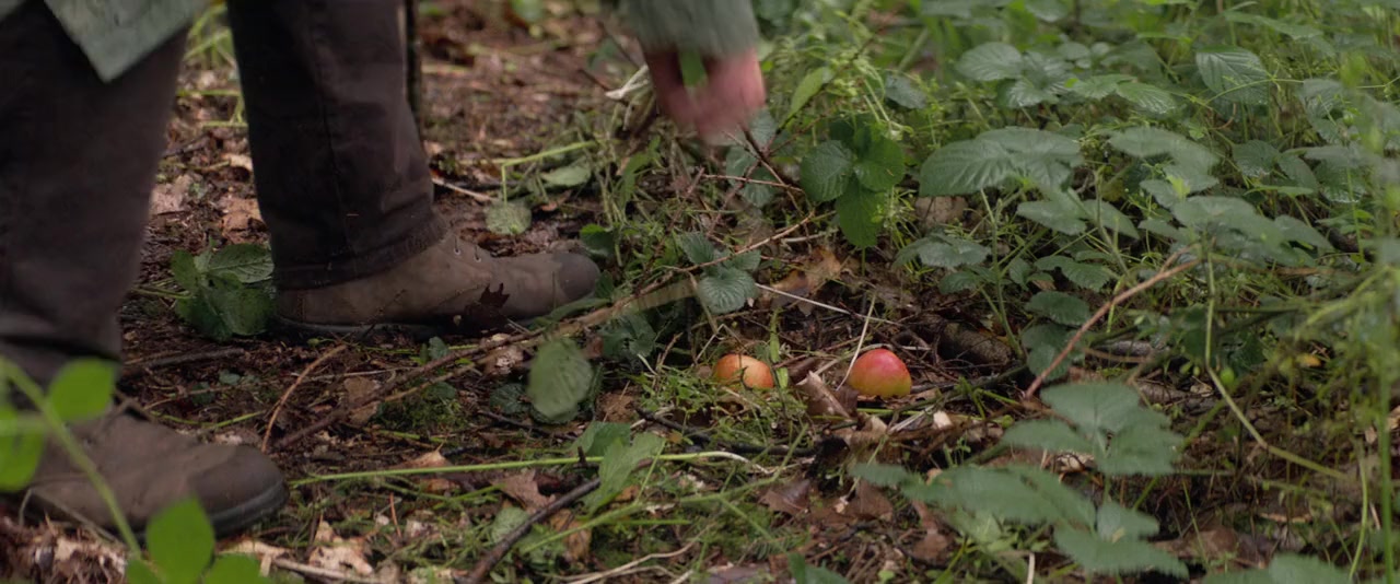 Hampstead screenshot 1