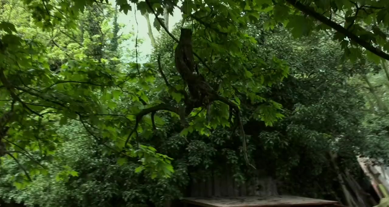 Hangar 10 screenshot 1