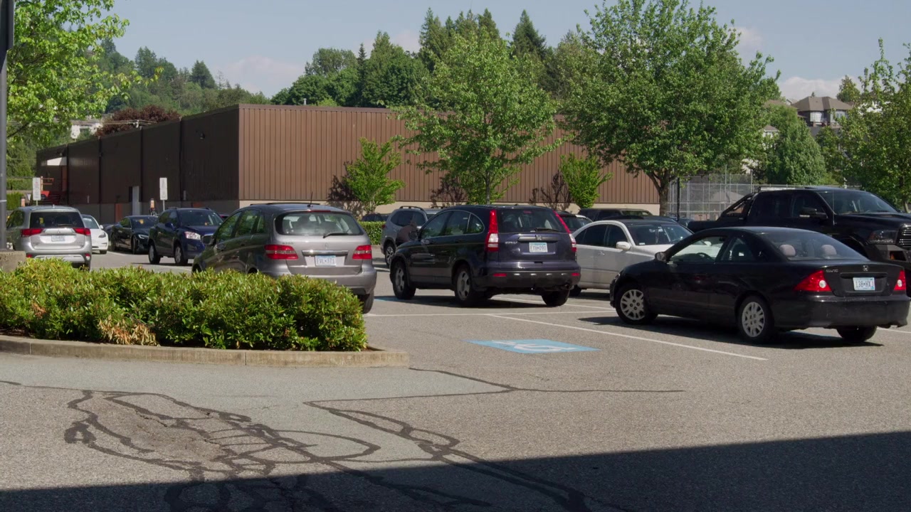 Sweet Revenge: A Hannah Swensen Mystery screenshot 1
