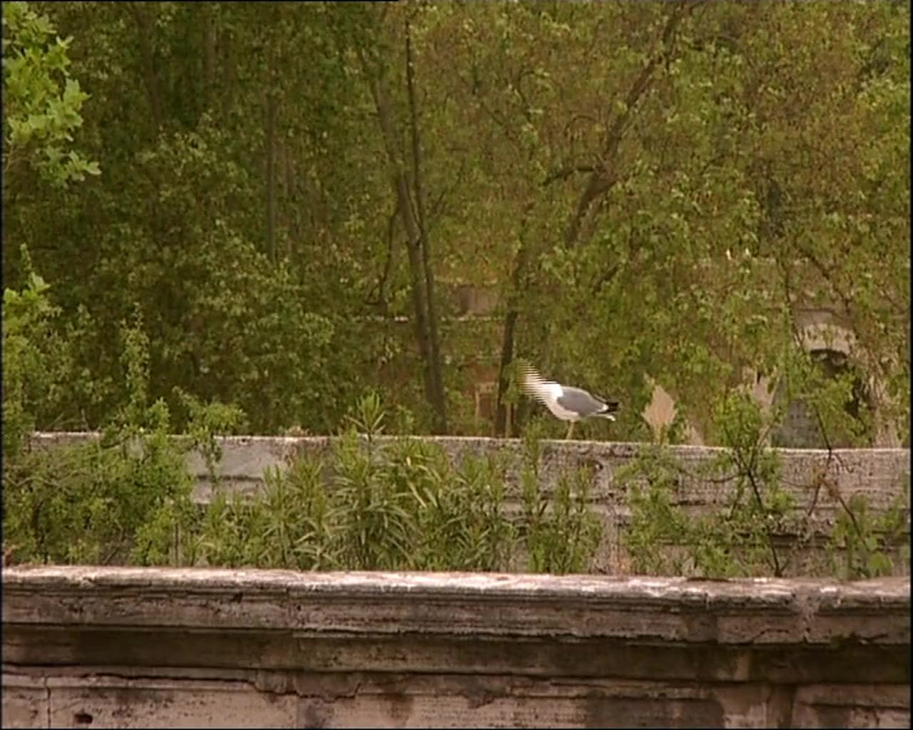 Hannibal screenshot 1