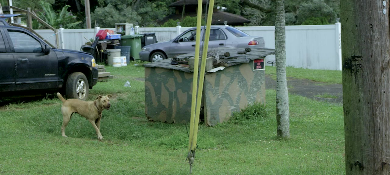 Haole screenshot 1