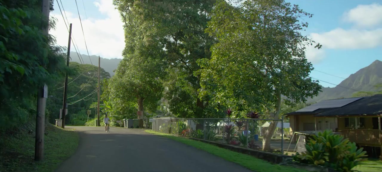 Haole screenshot 2