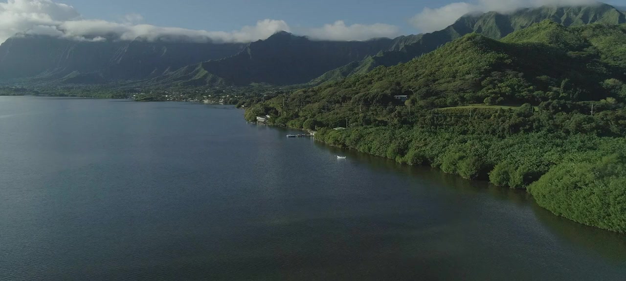 Haole screenshot 3
