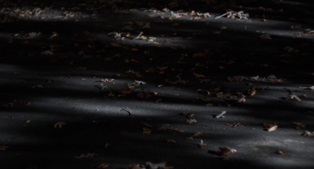 Happer's Comet screenshot 2