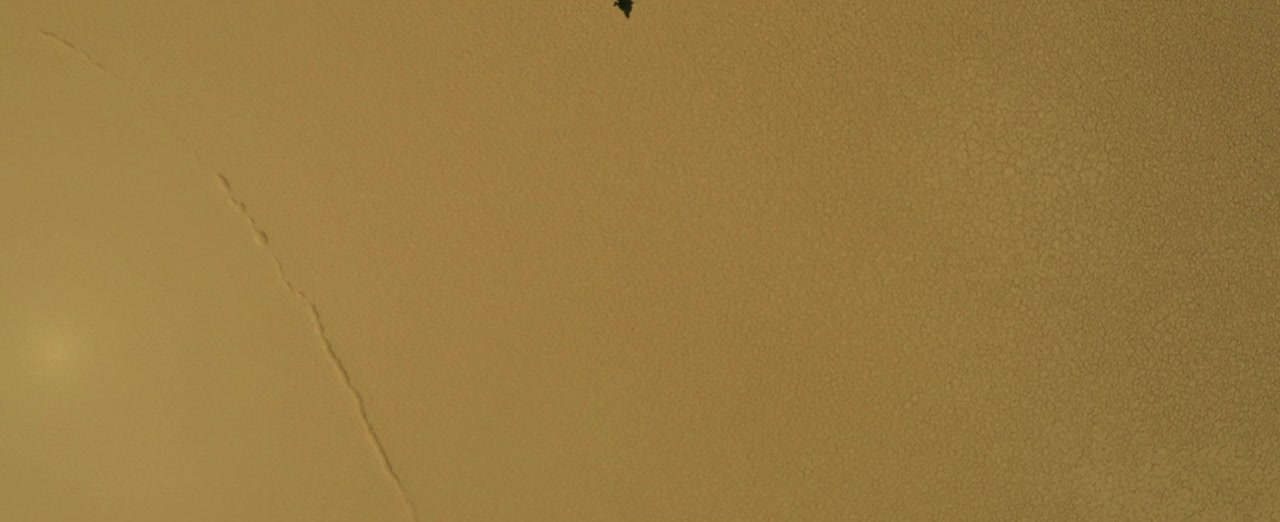 Happy Hunting screenshot 3